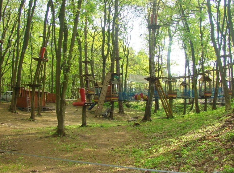 Park Linowy 