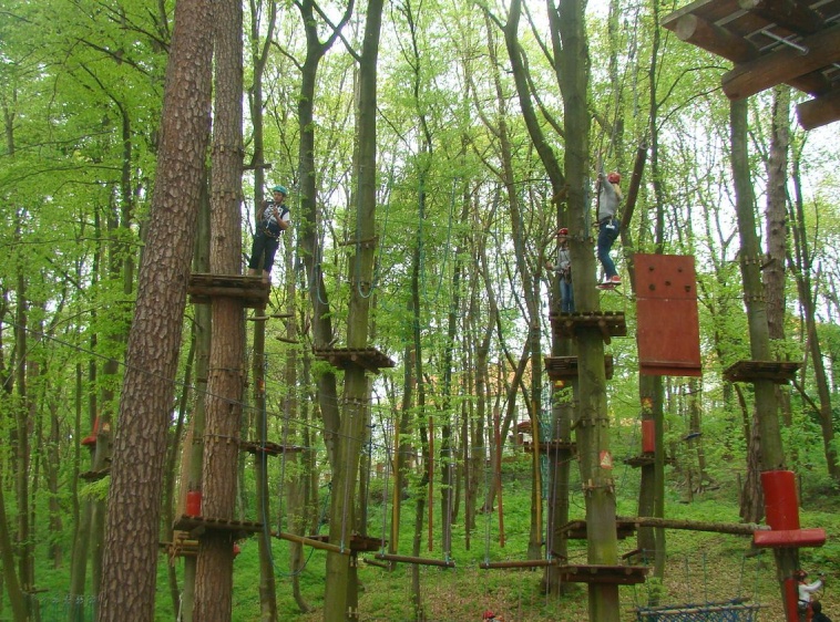 Park Linowy 